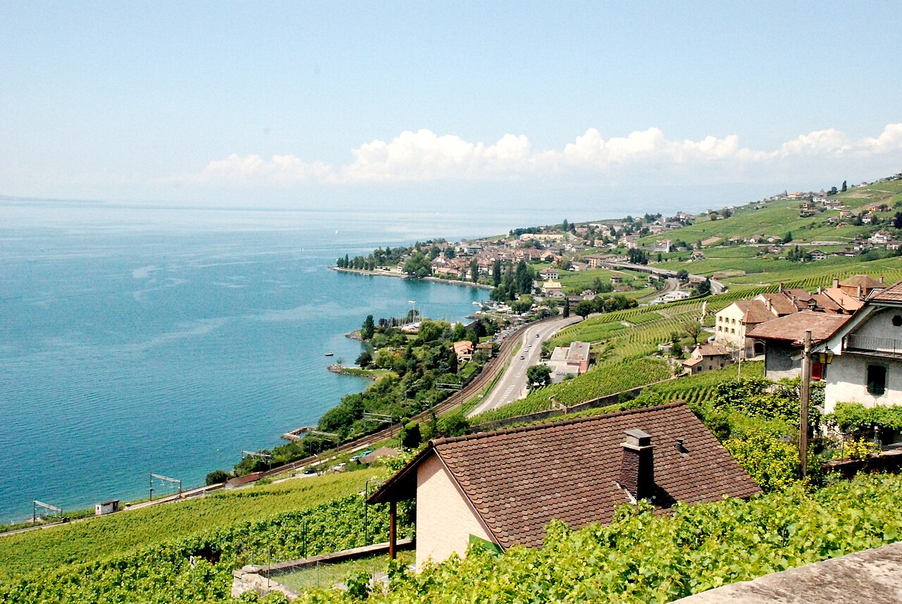 Lavaux vineyards